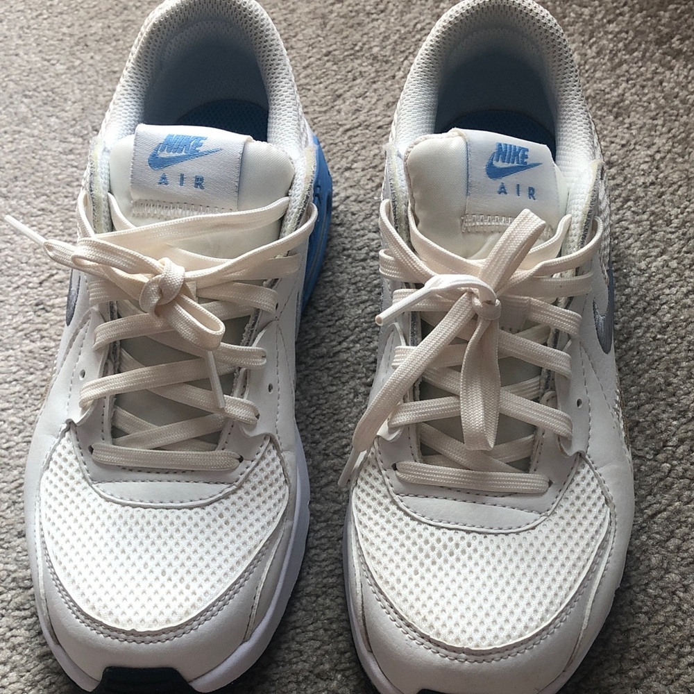 Nike Air Max Sneakers